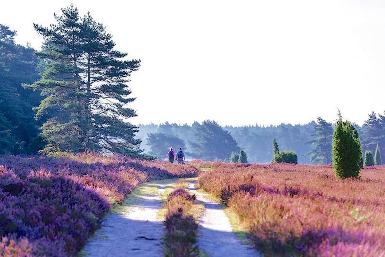 Ferienhaus Luneburger Heide 埃舍德 外观 照片