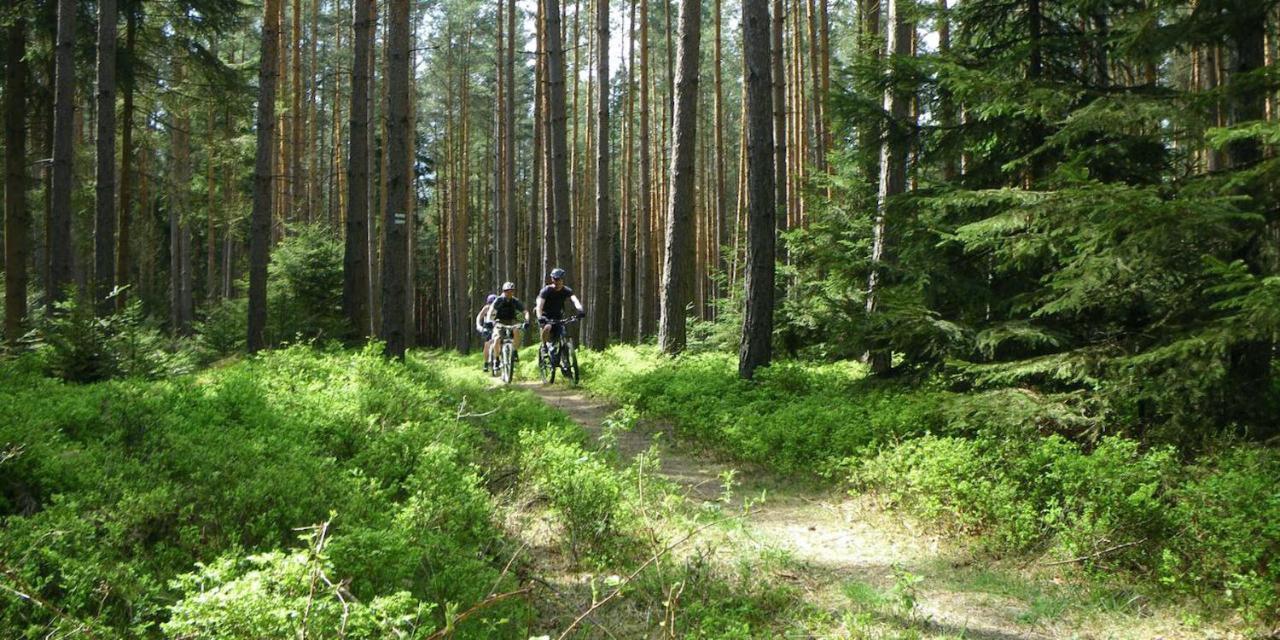 Ferienhaus Luneburger Heide 埃舍德 外观 照片