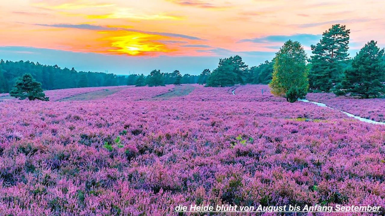 Ferienhaus Luneburger Heide 埃舍德 外观 照片